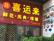 �ߵ�С���ſ������ʻ������